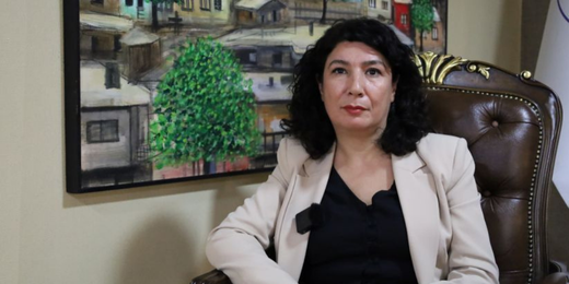 Halide Türkoğlu: Tüm partiler çalışma yürüttüğünde toplumsal barıştan söz edebiliriz
