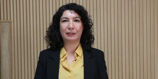 Halide Türkoğlu: Kürt sorununun demokratik çözümü için 4 Ocak’ta Amed’de mücadelenin sesini yükseltelim