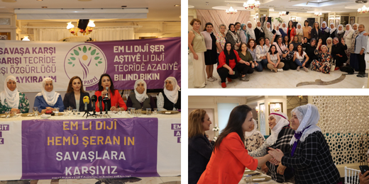 Hatimoğulları: Kürt sorununun barışçıl yöntemlerle çözümü için herkes elini taşın altına koymalı