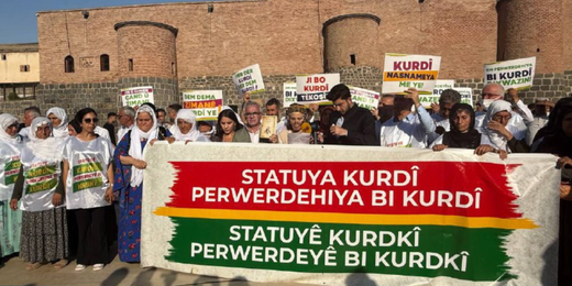 Daxuyaniya Komîsyona me ya Ziman, Çand û Hunerê û saziyên zimên