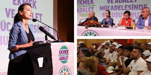 Hatimoğulları: Üretici üretemez hale gelmiş, biz iktidar olsak üreticiye mazotu, gübreyi, sulamayı ücretsiz yaparız