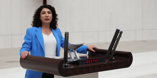 Türkoğlu: Kadına ayrılan bütçe “erkekliği besleme” bütçesidir