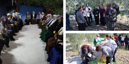Kadın Meclisimiz Manisa'da tarım işçisi kadınlarla buluştu: Bütçe silaha değil emekçiye ayrılsın