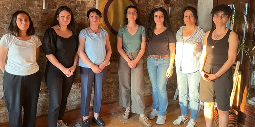 Kadın Meclisimiz TÖP ve Mor Dayanışma ile görüştü