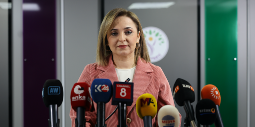 Ayşegül Doğan: Dar siyasi çıkarların ötesinde bir yaklaşımla raporun takipçisi olunmalı