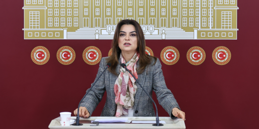 Koçyiğit: Kars Kağızman’a kayyım atanması halkların iradesine yeni bir darbedir
