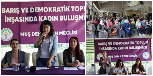 Halide Türkoğlu: Kadınlar savaşa karşı barış demekten vazgeçmeyecek