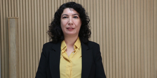 Halide Türkoğlu: Kadınların özgürlük mücadelesi bu ülkede demokrasinin kurucu gücüdür