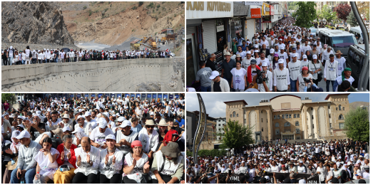 İradeye Saygı Yürüyüşü sona erdi: Kayyım geri çekilsin, Viyan Tekçe başkanvekili olarak atansın