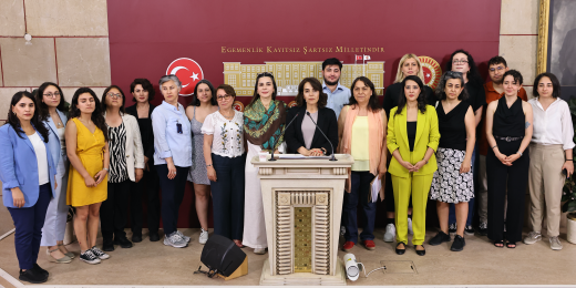 Kadın Meclisimiz: Kadına yönelik şiddetin temel sebeplerini görmeyen ve çözüm üretmekten uzak olan bu raporu reddediyoruz