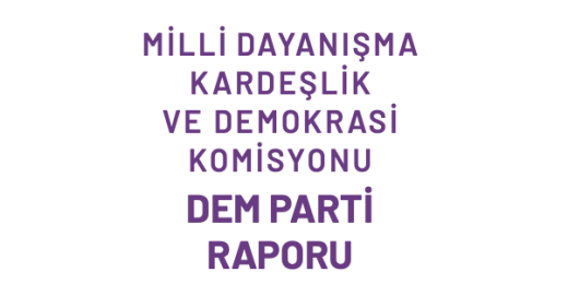 Milli Dayanışma, Kardeşlik ve Demokrasi Komisyonu DEM Parti Raporu