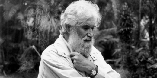 Leonardo Boff'tan Öcalan'ın çağrısına destek mesajı