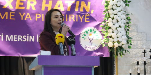 Hatimoğulları: Raporumuz çözümün reçetesini sunuyor, yasa yapma süreci başlamalıdır