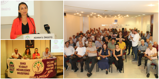 Hatimoğulları: Uyguladıkları politikalarla bereketli Çukurova’yı kuruttular, üretimi bitirdiler