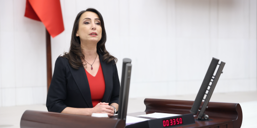 Hatimoğulları: İktidarın bütçesinde işçi, emekçi, yoksul, esnaf, çiftçi ve kadın yok; yandaşların, 5'li Çetenin kazancı var